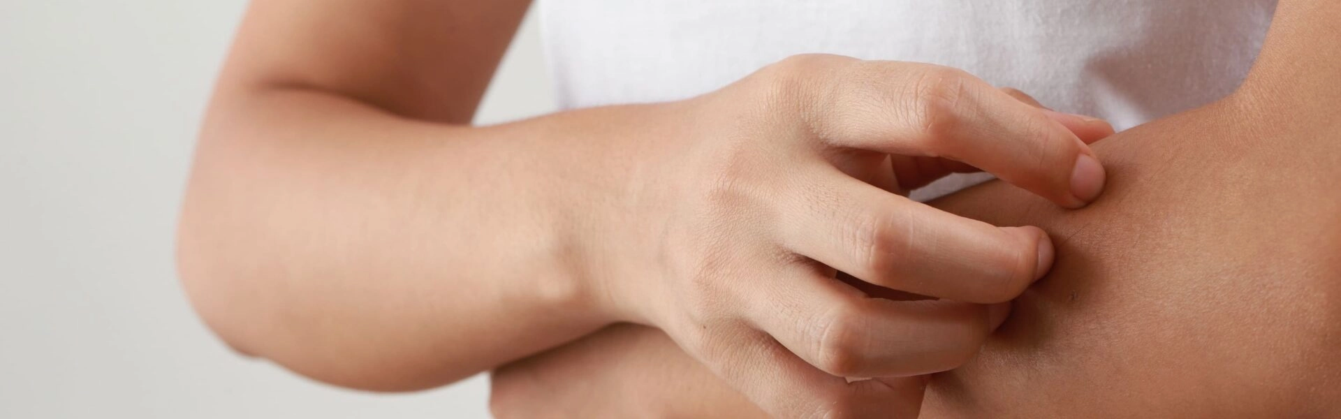 Piqûres d’insectes